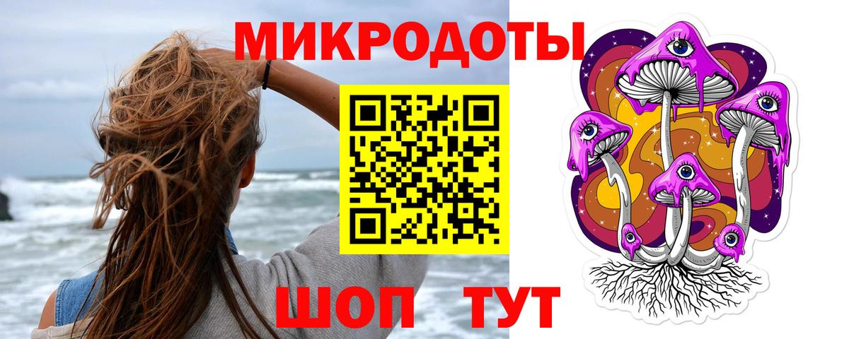 Галлюциногенные грибы Psilocybine cubensis Кстово