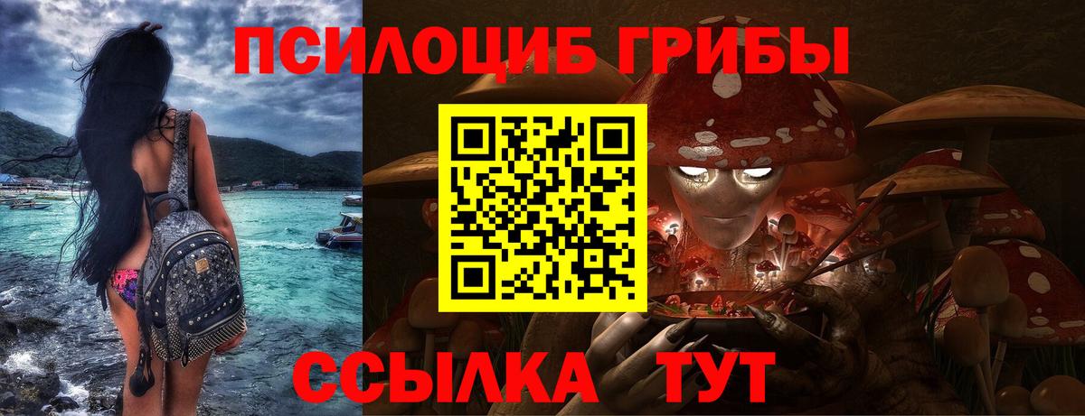 Кстово  Псилоцибиновые грибы Psilocybine cubensis  Вход с VPN 
